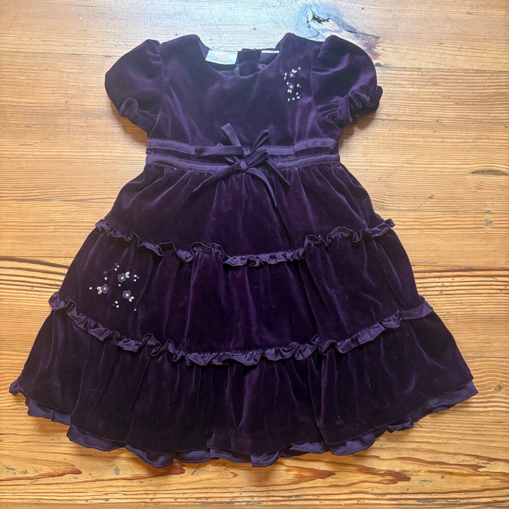 Little Bitty purple velvet short sleeve floral embroidered‎ tiered dress SIZE 3T